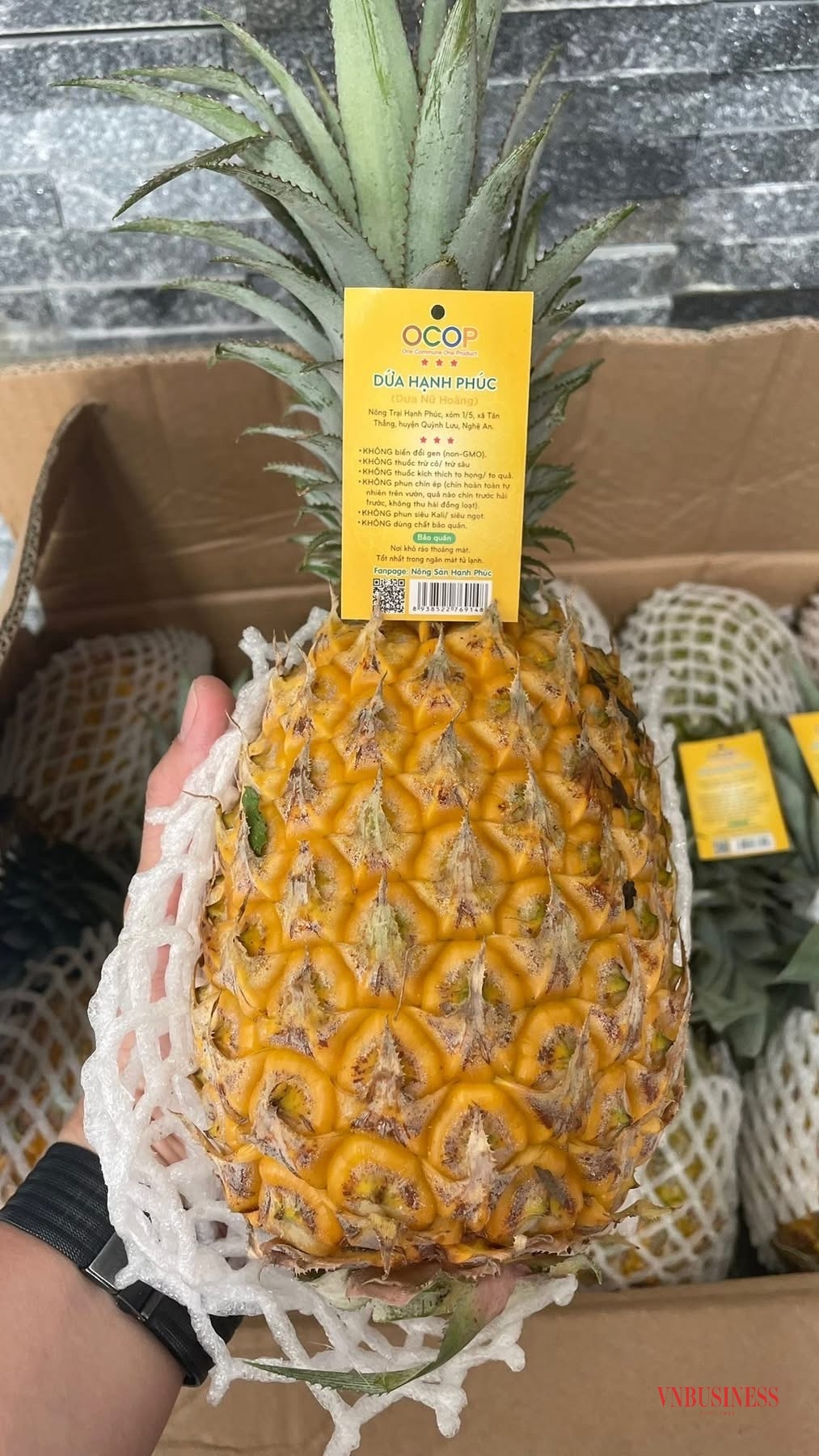Dứa hữu cơ của HTX Hạnh Phúc là nguyên liệu chế biến ra nhiều sản phẩm.