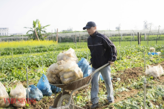 Theo theo học lĩnh vực media nhưng chàng thanh niên xứ Nghệ lại có