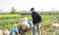 Theo theo học lĩnh vực media nhưng chàng thanh niên xứ Nghệ lại có