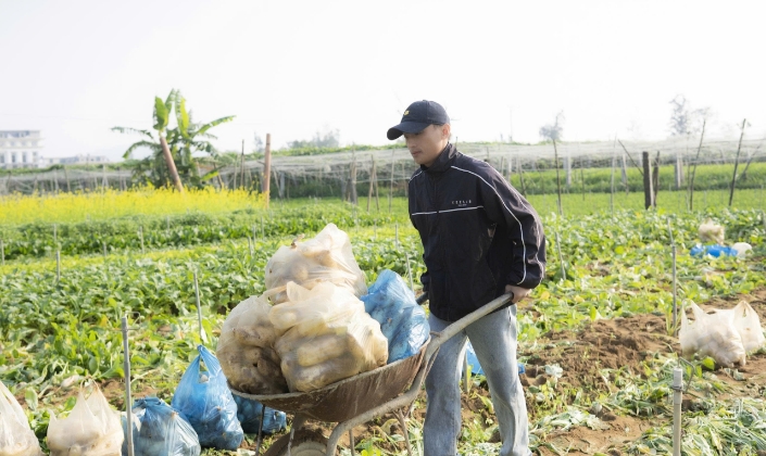 Theo theo học lĩnh vực media nhưng chàng thanh niên xứ Nghệ lại có