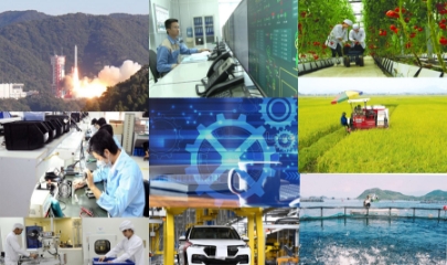 Hoạt động nghiên cứu và sản xuất vẫn cần tăng cường liên kết.