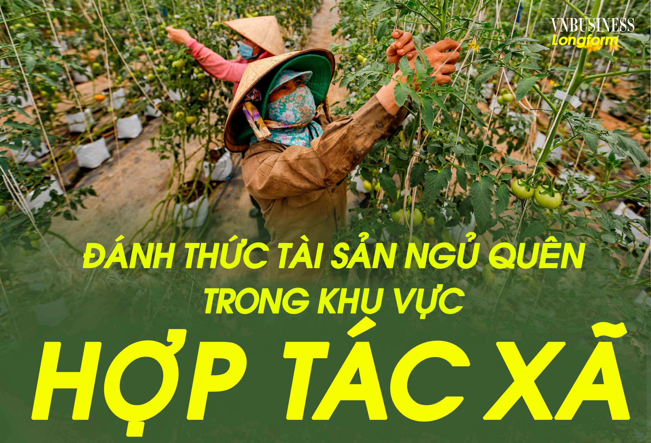 Đánh thức tài sản ngủ quên trong khu vực HTX, từ nhận thức đến văn hóa sở hữu trí tuệ