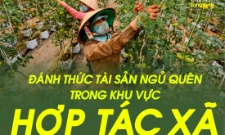 Đánh thức tài sản ngủ quên trong khu vực HTX, từ nhận thức đến văn hóa sở hữu trí tuệ