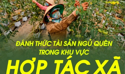 Đánh thức tài sản ngủ quên trong khu vực HTX, từ nhận thức đến văn hóa sở hữu trí tuệ