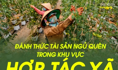 Đánh thức tài sản ngủ quên trong khu vực HTX, từ nhận thức đến văn hóa sở hữu trí tuệ