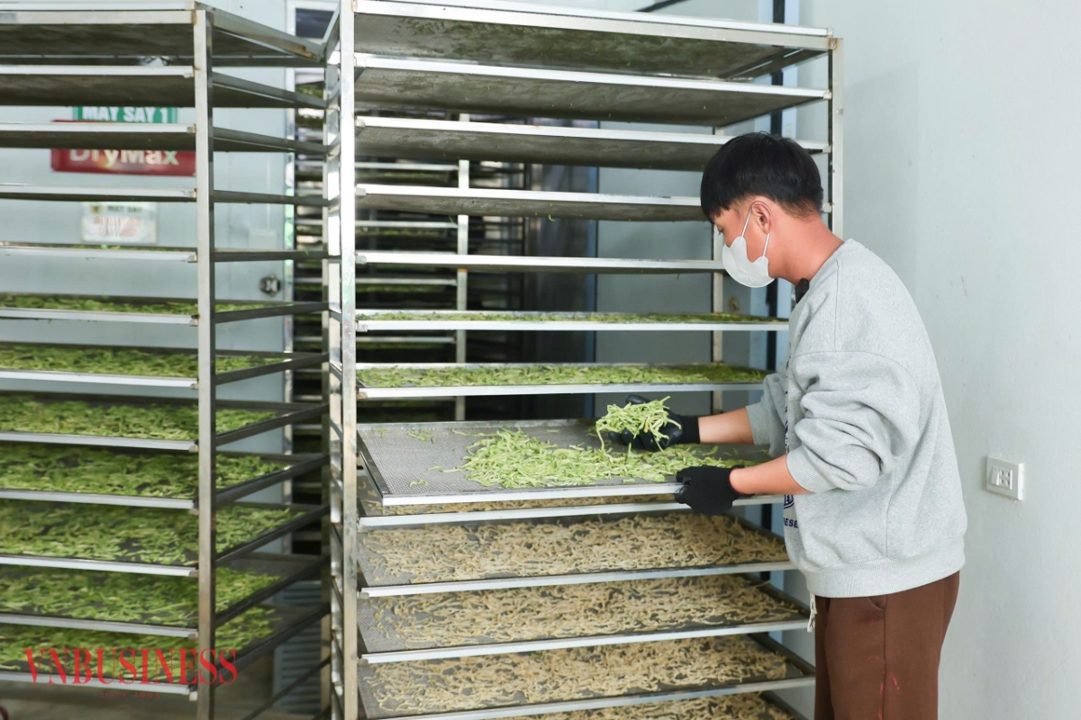 Sản phẩm sau sấy giữ được màu sắc tự nhiên, độ giòn và hương vị đặc trưng, đáp ứng tốt nhu cầu thị trường.