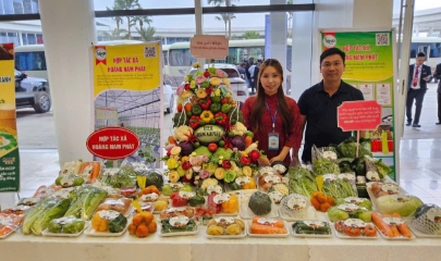 Sản phẩm của các HTX đã có mặt ở khắp mọi nơi.