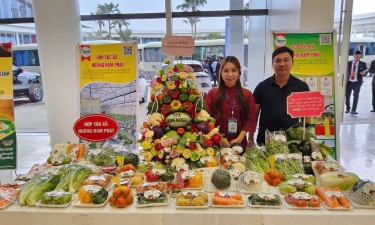 Sản phẩm của các HTX đã có mặt ở khắp mọi nơi.