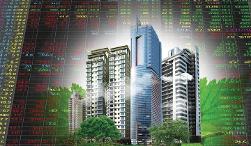 Triển vọng phục hồi của “cổ đất” vẫn đối mặt nhiều rào cản