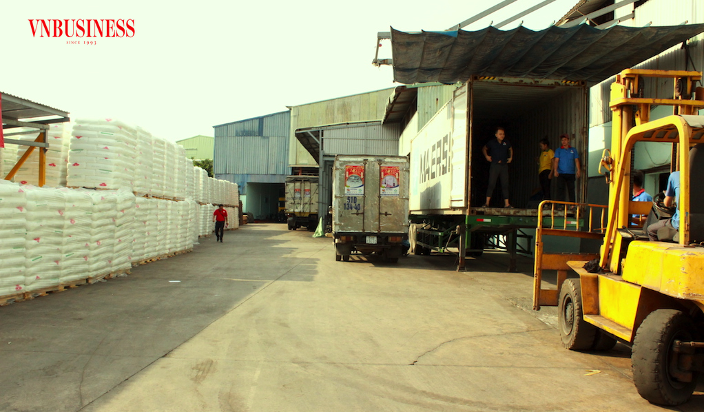 Các DN ngành nhựa hiện không chỉ đứng trước biến động về giá hạt nhựa, mà đang phải ứng xử với một trạng thái thị trường mới.