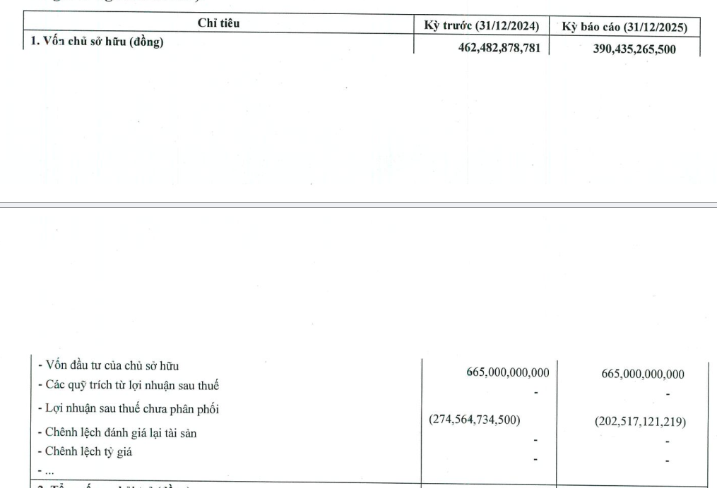 Địa ốc Mỹ Phú đang lỗ lũy kế hơn 202 tỷ đồng.