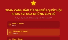 Những con số ấn tượng trước giờ công bố danh sách trúng cử ĐBQH khóa XVI