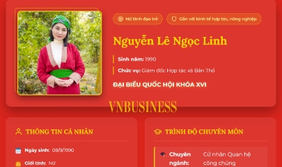 Nữ Giám đốc HTX xứ Thanh vừa trúng cử đại biểu Quốc hội là ai?