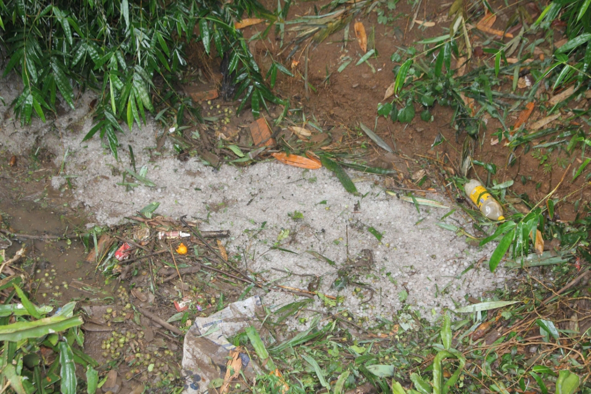 Mưa đá và dông lốc xuất hiện tại một số địa phương ở Sơn La.