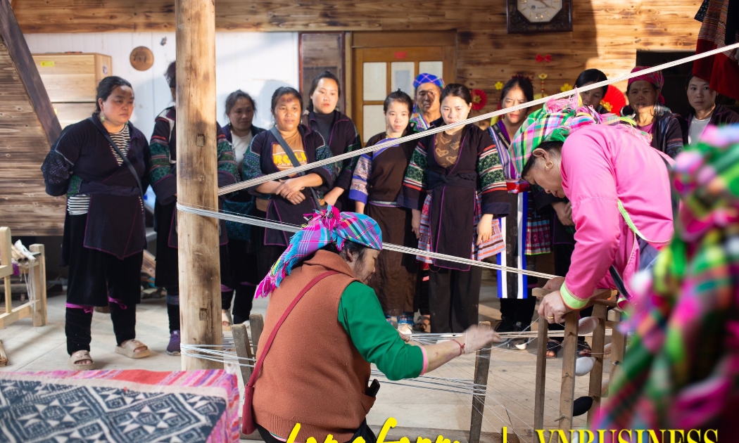 Chiến lược chuyển đổi số ‘vừa túi tiền’ của một HTX giữa mây mù Hoàng Liên Sơn