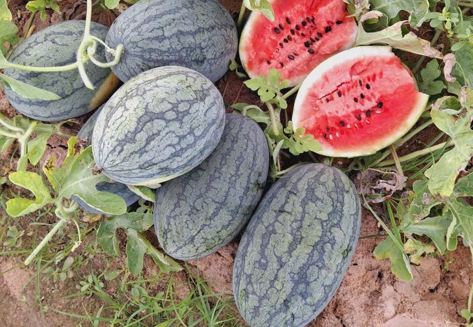 Bộ trưởng Bộ NN&MT đề nghị doanh nghiệp chủ động thích ứng, đồng thời chia sẻ khó khăn với người sản xuất theo tinh thần “lợi ích hài hòa, rủi ro chia sẻ”.