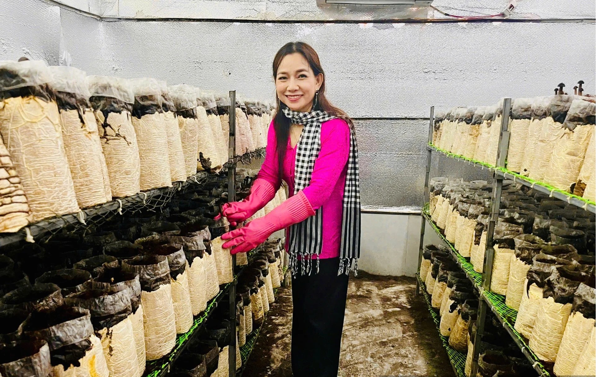 Mô hình trồng nấm tại HTX Nông nghiệp Tà Đảnh của chị Châu Thị Nương (An Giang).