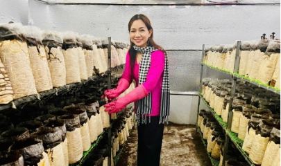 Mô hình trồng nấm tại HTX Nông nghiệp Tà Đảnh của chị Châu Thị Nương (An Giang).