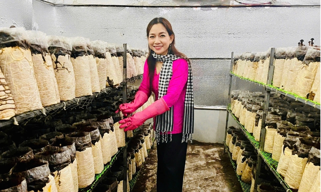 Mô hình trồng nấm tại HTX Nông nghiệp Tà Đảnh của chị Châu Thị Nương (An Giang).