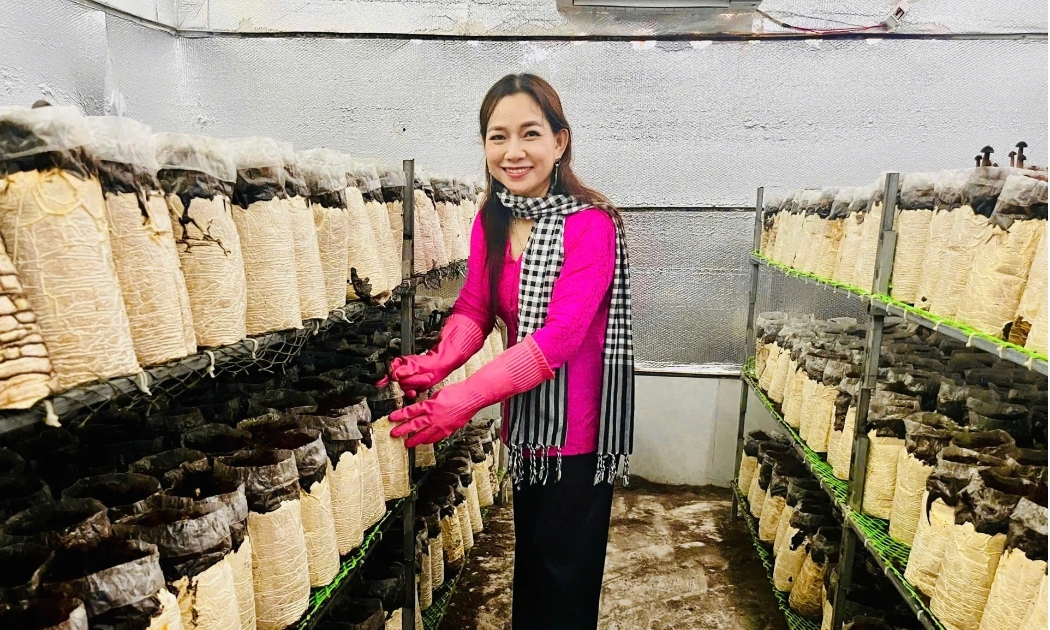 Mô hình trồng nấm tại HTX Nông nghiệp Tà Đảnh của chị Châu Thị Nương (An Giang).