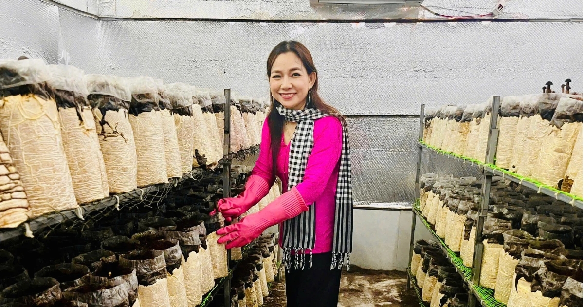 Biến rơm rạ thành “vàng”: Nữ giám đốc HTX thu 20 tấn nấm mỗi năm
