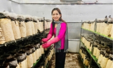 Mô hình trồng nấm tại HTX Nông nghiệp Tà Đảnh của chị Châu Thị Nương (An Giang).