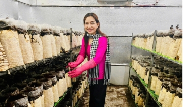 Biến rơm rạ thành “vàng”: Nữ giám đốc HTX thu 20 tấn nấm mỗi năm