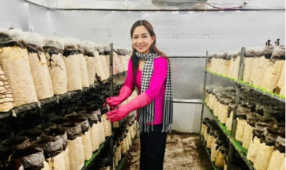 Mô hình trồng nấm tại HTX Nông nghiệp Tà Đảnh của chị Châu Thị Nương (An Giang).
