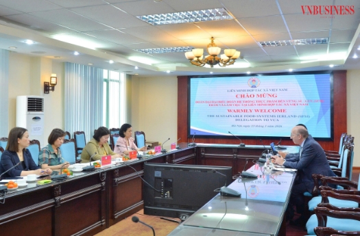 Overview of the working session.