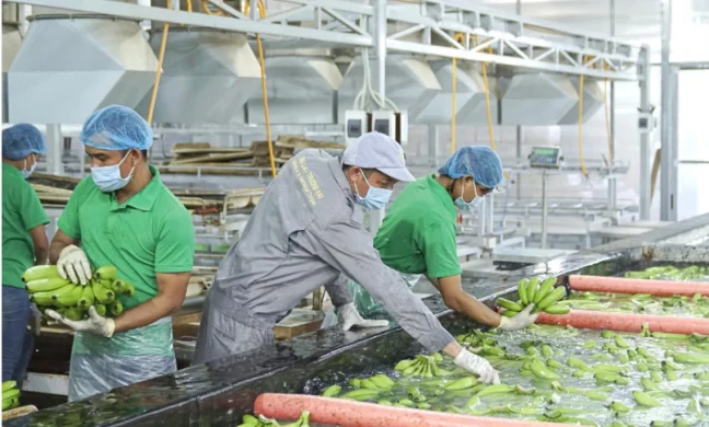 Bầu Đức tiếp tục mua vào cổ phiếu HAG.