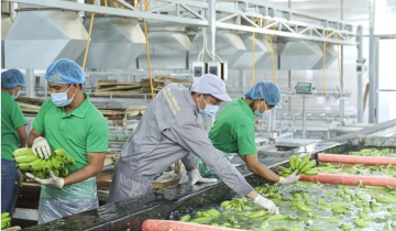 Bầu Đức liên tục