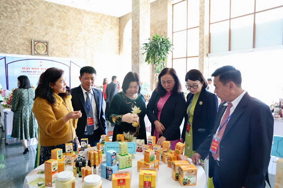 KTTT, HTX tỉnh có vai trò then chốt trong quá trình tái cơ cấu nông nghiệp.
