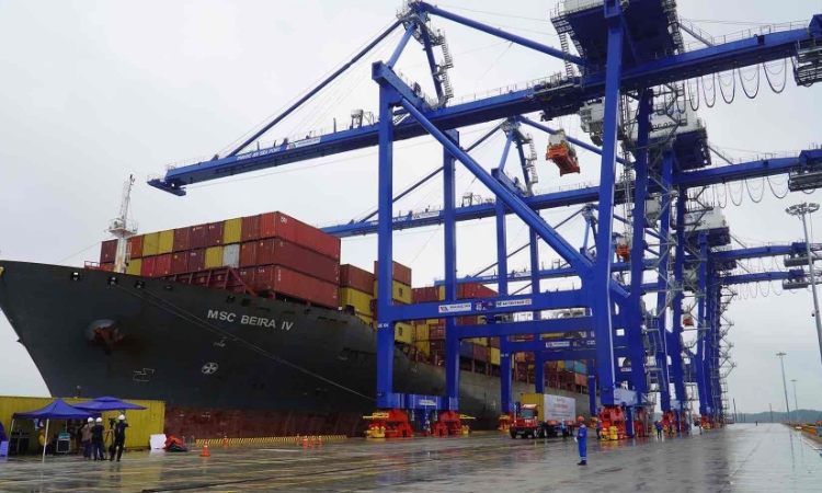 Dự kiến tiếp tục thua lỗ hàng trăm tỷ, Cảng Phước An vẫn muốn đầu tư dự án gần 8.000 tỷ