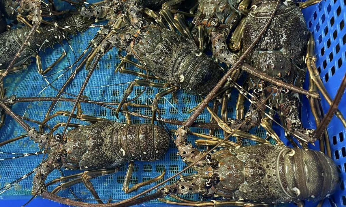 Chấp nhận khó khăn, nhiều doanh nghiệp vẫn chọn giải pháp giữ mức giá ổn định nhất để đồng hành cùng khách hàng.