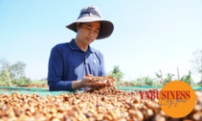 Đòn bẩy kép nâng tầm sản phẩm OCOP trong khu vực HTX