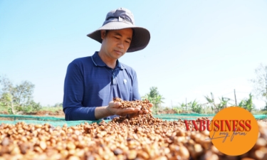 Đòn bẩy kép nâng tầm sản phẩm OCOP trong khu vực HTX