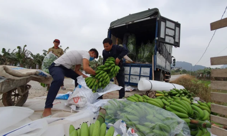 HTX góp phần đảm bảo an ninh năng lượng