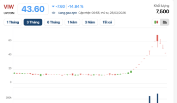 Một mã cổ phiếu