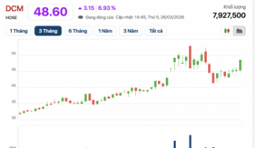 Cổ phiếu Đạm Cà Mau “tím lịm” dù đặt mục tiêu “đi lùi”