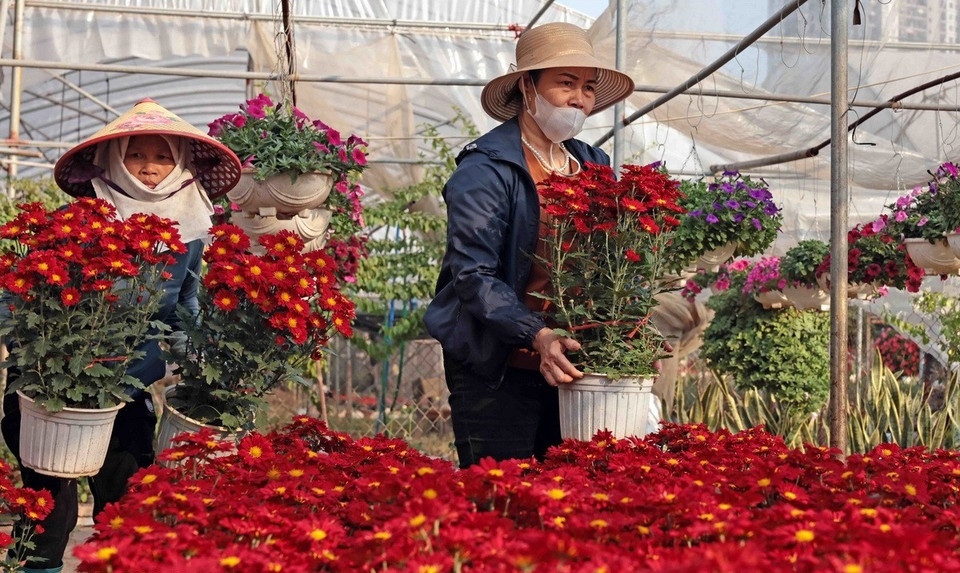 HTX Xuân Quan cần nguồn vốn để tiếp tục phát triển sản xuất.