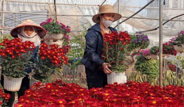 Bao giờ HTX mới tiếp cận được nguồn tín dụng xanh