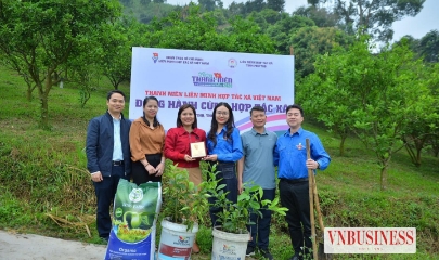 Không ít thanh niên đã quyết định quay trở về, không phải vì không thể đi.