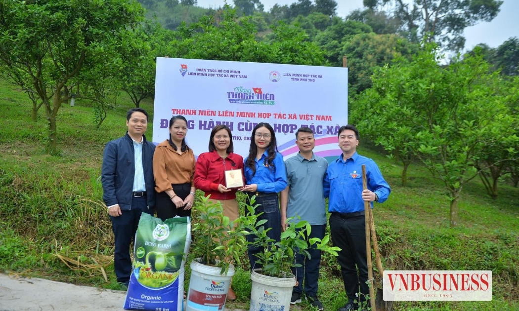 Không ít thanh niên đã quyết định quay trở về, không phải vì không thể đi.
