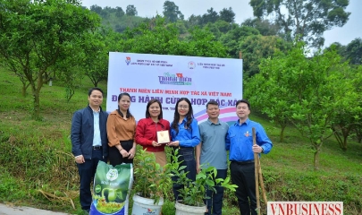 Không ít thanh niên đã quyết định quay trở về, không phải vì không thể đi.