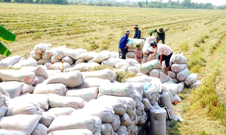 Xung đột Trung Đông: Ngành nông nghiệp chủ động kịch bản ứng phó, giữ nhịp tăng trưởng