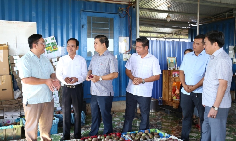 Bí thư Đắk Lắk đi tận vườn, chốt 3 đòn bẩy cho HTX nông nghiệp bứt tốc