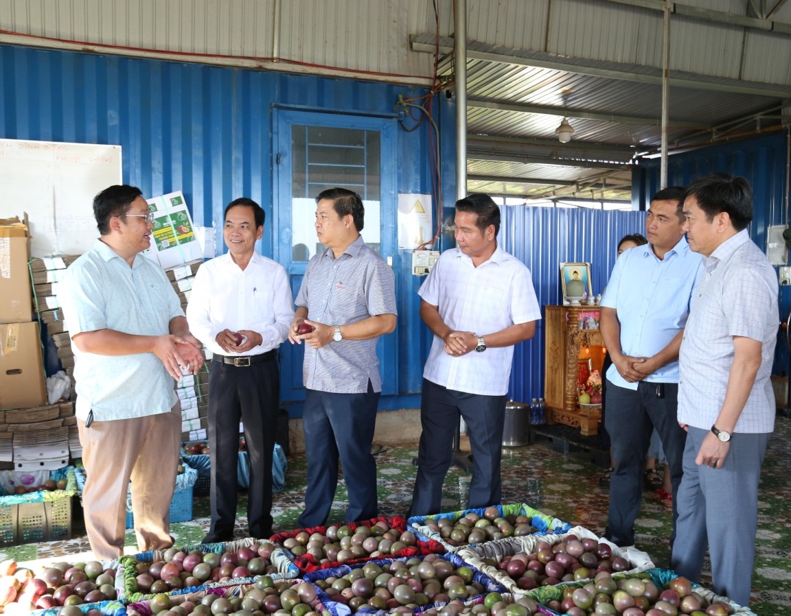 Bí thư Tỉnh ủy Lương Nguyễn Minh Triết thăm Hợp tác xã Nông nghiệp xanh công nghệ cao Tây Nguyên.