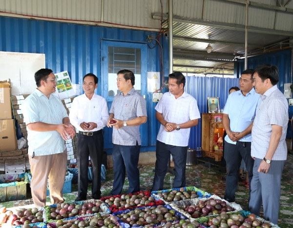 Bí thư Đắk Lắk đi tận vườn, chốt 3 đòn bẩy cho HTX nông nghiệp bứt tốc