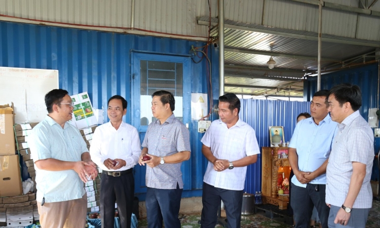 Bí thư Đắk Lắk đi tận vườn, chốt 3 đòn bẩy cho HTX nông nghiệp bứt tốc