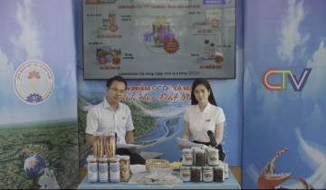 Cách làm mới của Liên minh HTX Cà Mau, mở lối ra thị trường số cho đặc sản đất Mũi